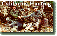 hunting photo