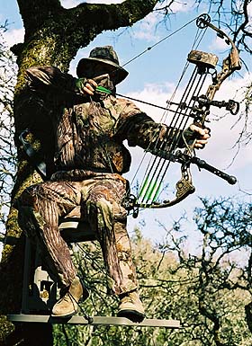 Angelo Nogara takes aim from a treestand.